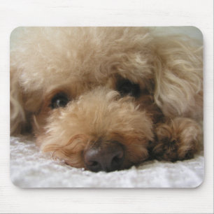 Roodharige Poodle Muismat