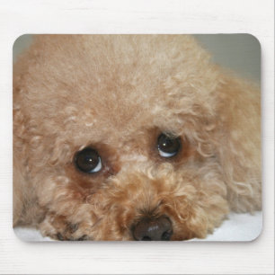 Roodharige Poodle Muismat
