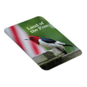 Roodharige specht 2 magneet (Rechterzijde)