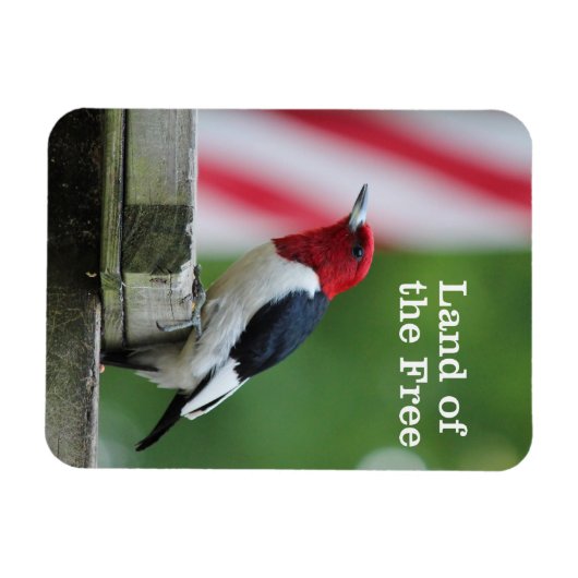 Roodharige specht 2 magneet (Horizontaal)