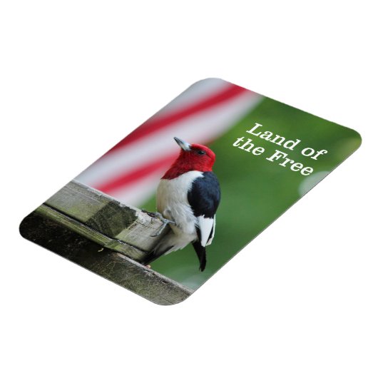 Roodharige specht 2 magneet (Linkerzijde)