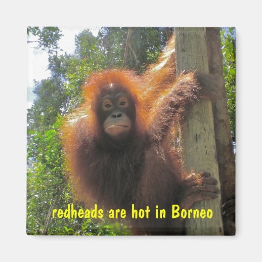 Roodharigen zijn hete Humor Magneet (Voorkant)