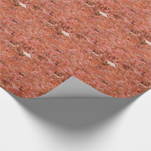 Roodherfst lekt cadeaupapier (Hoek)