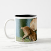 Roodherten zogende nakomelingen tweekleurige koffiemok (Links)