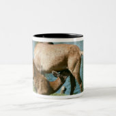 Roodherten zogende nakomelingen tweekleurige koffiemok (Center)