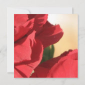 Roodhoek Roos bruiloft Kaart (Achterkant)