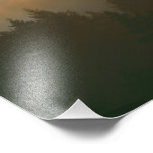 Roodhoutbomen in de kustmist van Marin County. Foto Afdruk (Hoek)