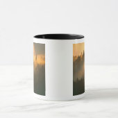 Roodhoutbomen in de kustmist van Marin County. Mok (Midden)