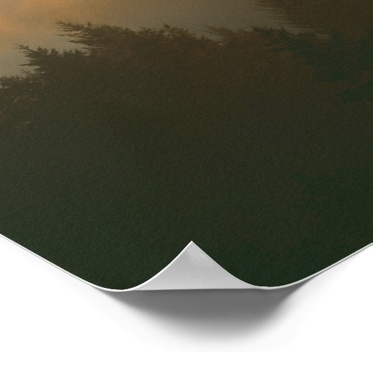 Roodhoutbomen in de kustmist van Marin County. Poster (Hoek)