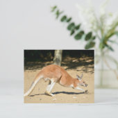 Roodkangoeroe op zand feestdagenkaart (Staand voorkant)