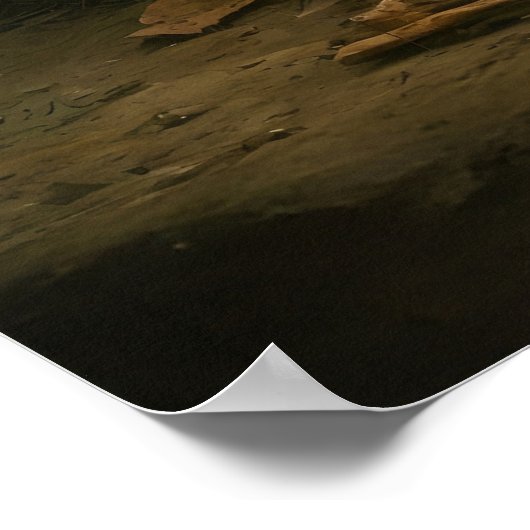 Roodkapje ontmoet wolf in bos poster (Hoek)