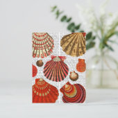 Roodkapschalen Briefkaart (Staand voorkant)