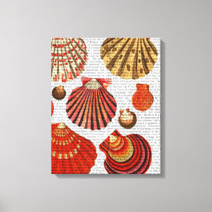 Roodkapschalen Canvas Afdruk