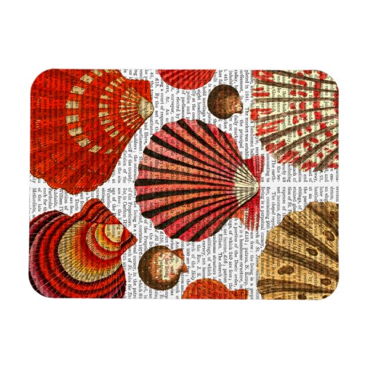 Roodkapschalen Magneet (Horizontaal)