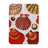 Roodkapschalen Magneet (Verticaal)