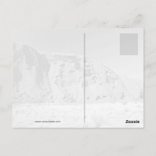 Roodkapstralenkruid Briefkaart (Achterkant)