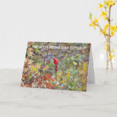 Roodkardinaal Bird Belated Missance Kaart (Gele Bloem)