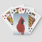 Roodkardinaal-vogeluitwerpkaarten Pokerkaarten (Achterkant)
