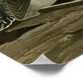 Roodkeelduiker Poster (Hoek)