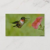 Roodkeelvogel (mannelijk) met petunia roze visitekaartje (Achterkant)