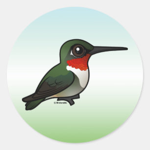 Roodkeelvogel Ronde Sticker