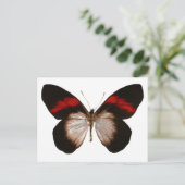 Roodkegel - Gepersonaliseerd Briefkaart (Staand voorkant)