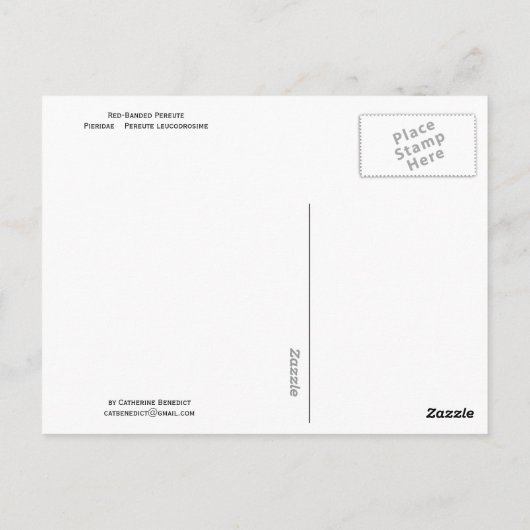 Roodkegel - Gepersonaliseerd Briefkaart (Achterkant)