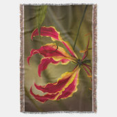 Roodklimlelaar Deken (Voorkant Verticaal)