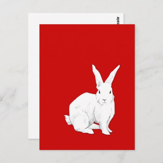Roodkonijn Briefkaart (Voorkant / Achterkant)