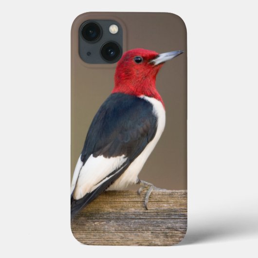 Roodkop specht op hek Case-Mate iPhone case (Achterkant)