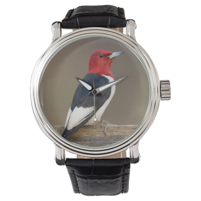 Roodkop specht op hek horloge (Voorkant)