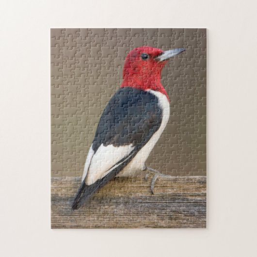 Roodkop specht op hek legpuzzel (Verticaal)