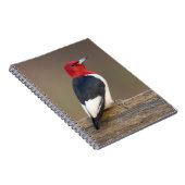 Roodkop specht op hek notitieboek (Rechterzijde)
