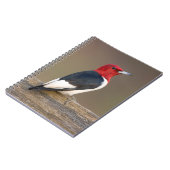Roodkop specht op hek notitieboek (Linkerzijde)