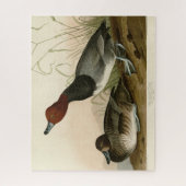 Roodkopeend - van de Amerikaanse vogels van Audubo Legpuzzel (Verticaal)