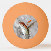 Roodkoppen van olierampen hebben meer vun pingel pingpongbal (Voorkant)