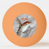 Roodkoppen van olierampen hebben meer vun pingel pingpongbal (Achterkant)