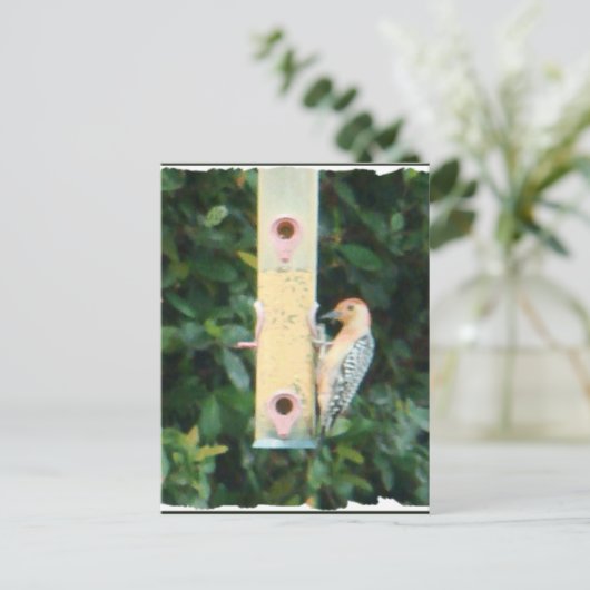 roodkopspecht briefkaart (Staand voorkant)