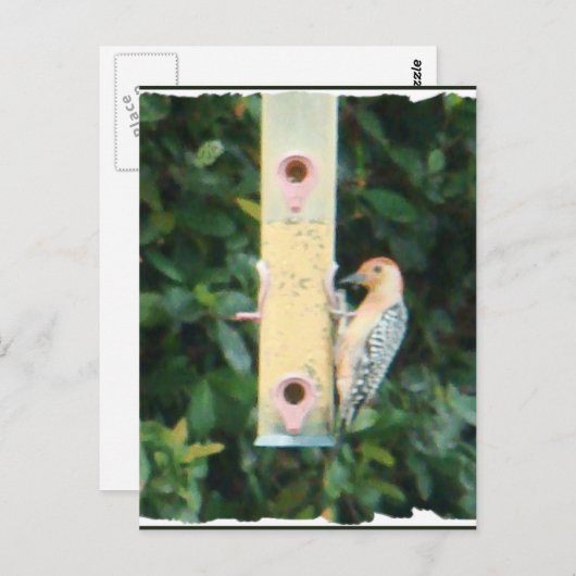 roodkopspecht briefkaart (Voorkant / Achterkant)