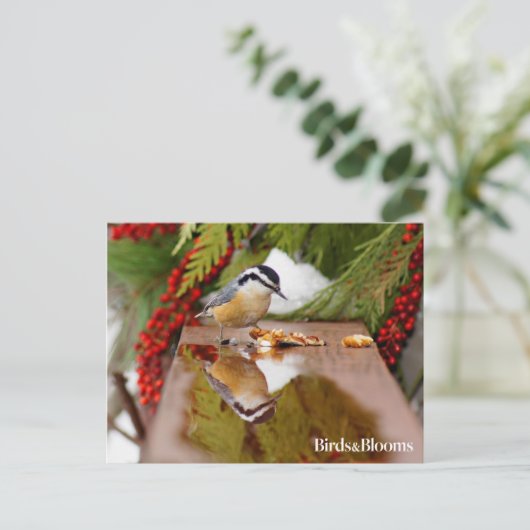 Roodkorrelig Nuthatch Briefkaart (Staand voorkant)