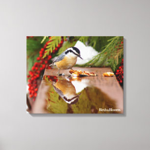 Roodkorrelig Nuthatch Canvas Afdruk