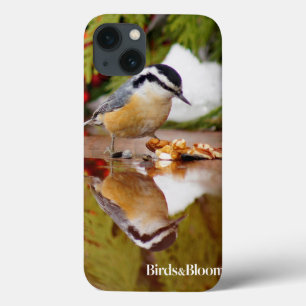 Roodkorrelig Nuthatch Case-Mate iPhone Case