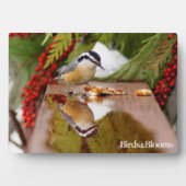 Roodkorrelig Nuthatch Fotoplaat (voorkant)