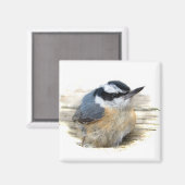 Roodkorrelig Nuthatch Magneet (Voorkant / Achterkant)