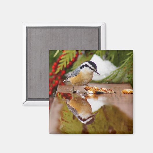 Roodkorrelig Nuthatch Magneet (Voorkant / Achterkant)