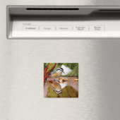 Roodkorrelig Nuthatch Magneet (Insitu (Vaatwasser))