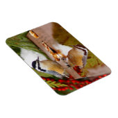 Roodkorrelig Nuthatch Magneet (Rechterzijde)