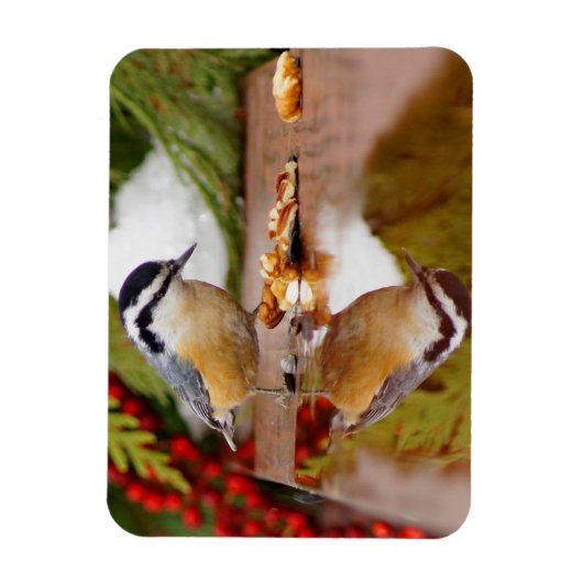 Roodkorrelig Nuthatch Magneet (Verticaal)