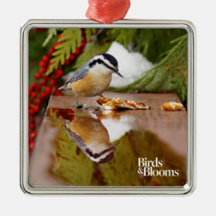Roodkorrelig Nuthatch Metalen Ornament