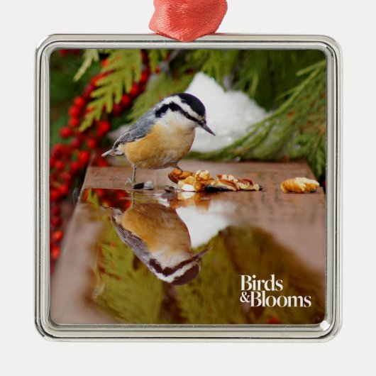 Roodkorrelig Nuthatch Metalen Ornament (Voorkant)